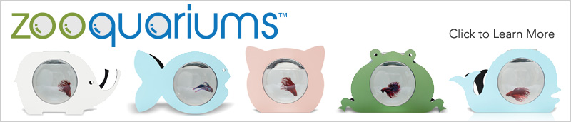 Betta Fish Bowl Article Banner