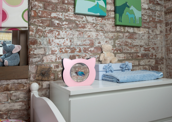 cat fish bowl for kids