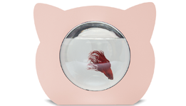 Pink cat fish bowl