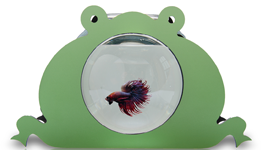 Green betta kids fish tank