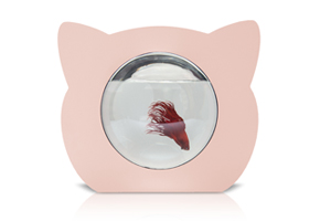 Cat Betta Fish Bowl