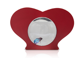Valentines Day Gift fish bowl